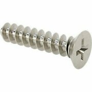 BSC PREFERRED Stainless ST Flat Head Thrd-Form Screws for Plastic Phillips Drive 90°Countersink M2 10mm L, 50PK 90485A417